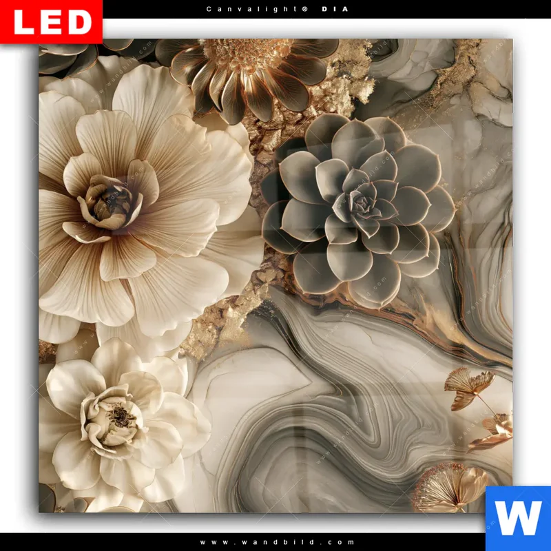 Wechselmotiv Acrylglas Canvalight® DIA | Sukkulenten auf Marmor | Quadrat