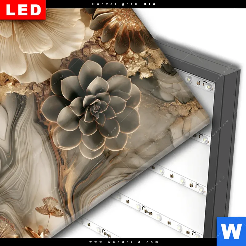Wechselmotiv Acrylglas Canvalight® DIA | Sukkulenten auf Marmor | Quadrat