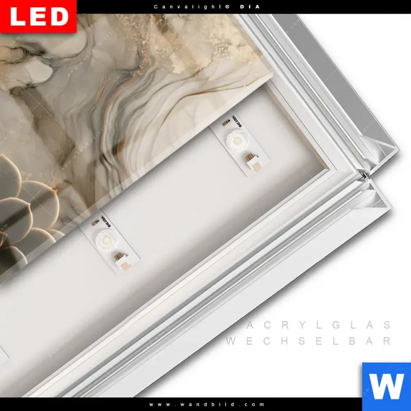 Leuchtbild Acrylglas Canvalight® DIA | Sukkulenten auf Marmor | Schmal