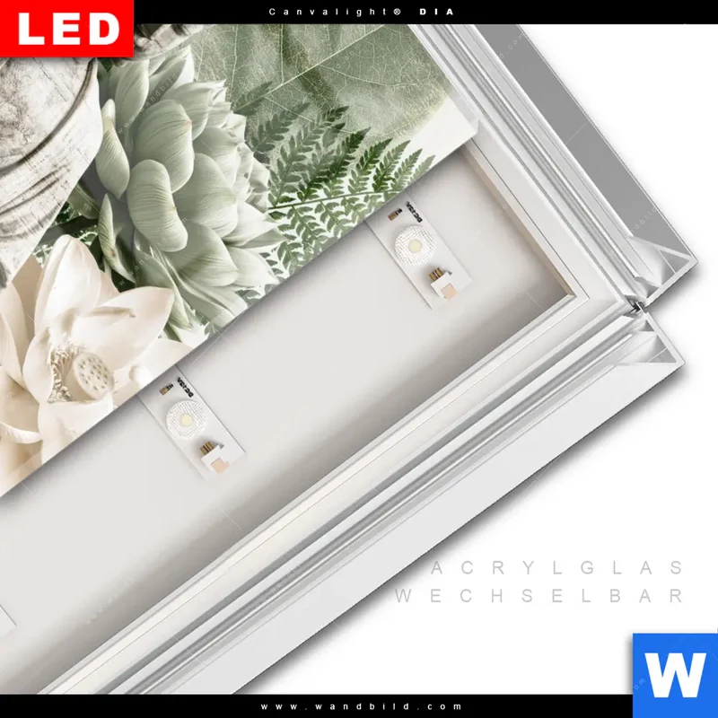 Leuchtbild Acrylglas Canvalight® DIA | Buddha zwischen Lotusblüten | Quadrat