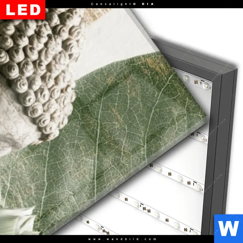 Wechselmotiv Acrylglas Canvalight® DIA | Buddha zwischen Lotusblüten | Schmal