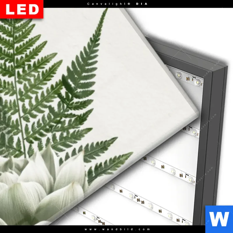 Wechselmotiv Acrylglas Canvalight® DIA | Buddha zwischen Lotusblüten | Panorama