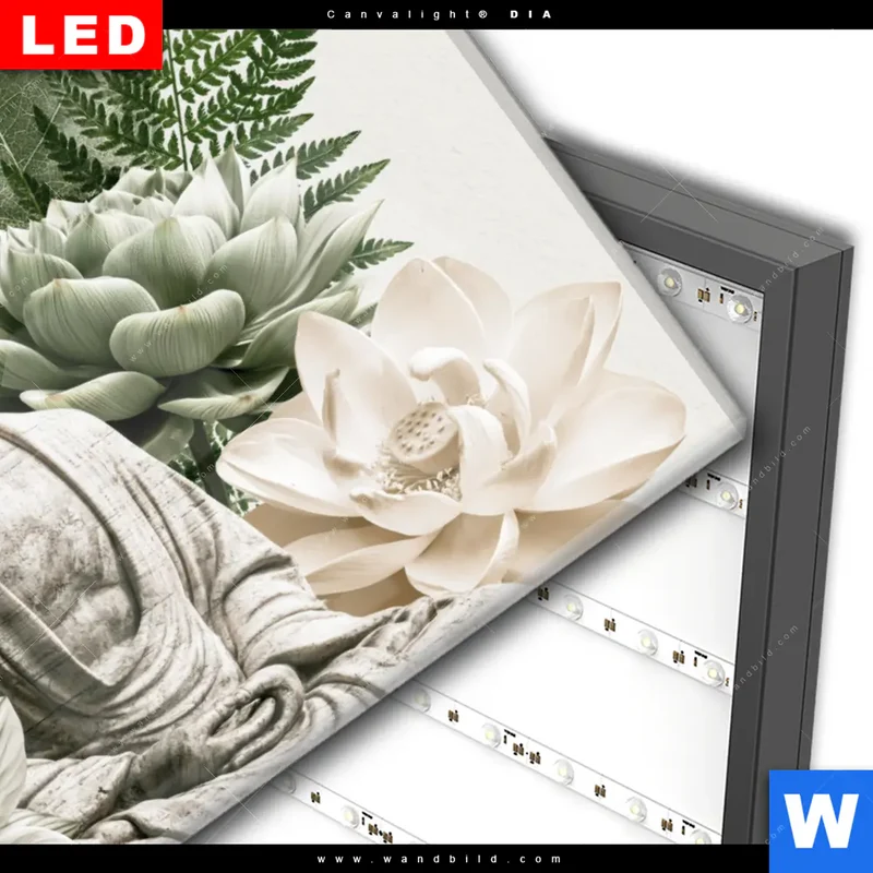 Wechselmotiv Acrylglas Canvalight® DIA | Buddha zwischen Lotusblüten | Querformat