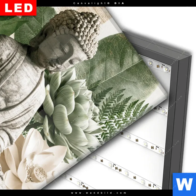 Wechselmotiv Acrylglas Canvalight® DIA | Buddha zwischen Lotusblüten | Quadrat