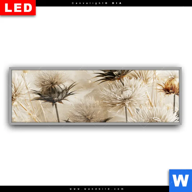 Leuchtbild Acrylglas Canvalight® DIA | Wildblumen | Panorama