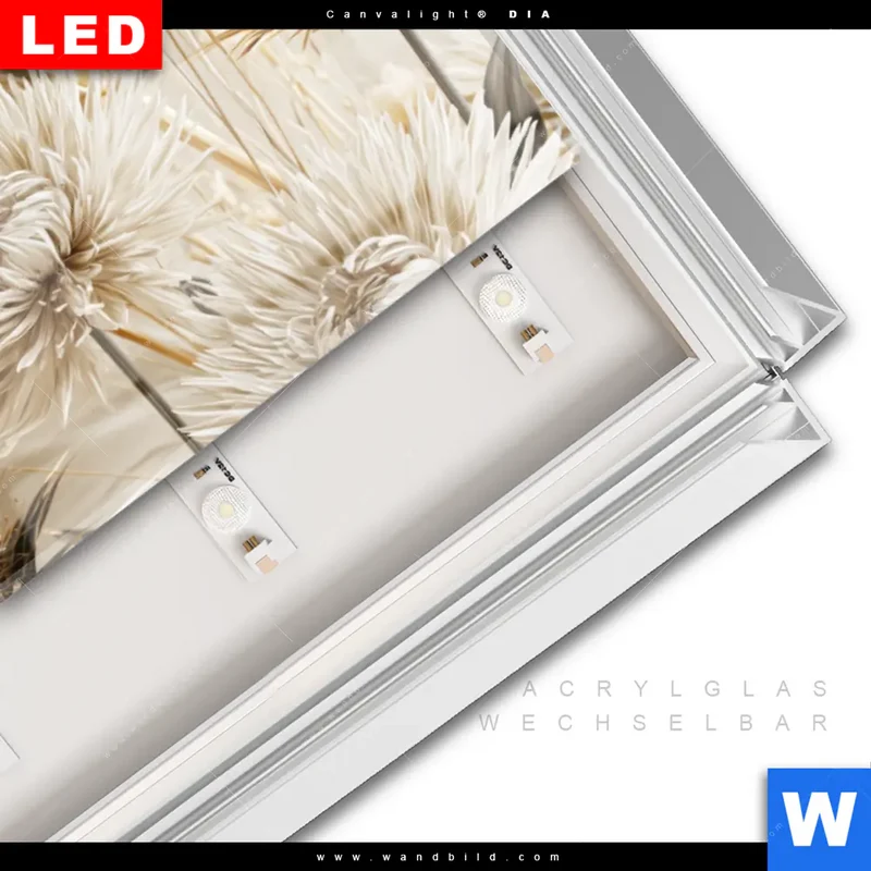 Leuchtbild Acrylglas Canvalight® DIA | Wildblumen | Panorama