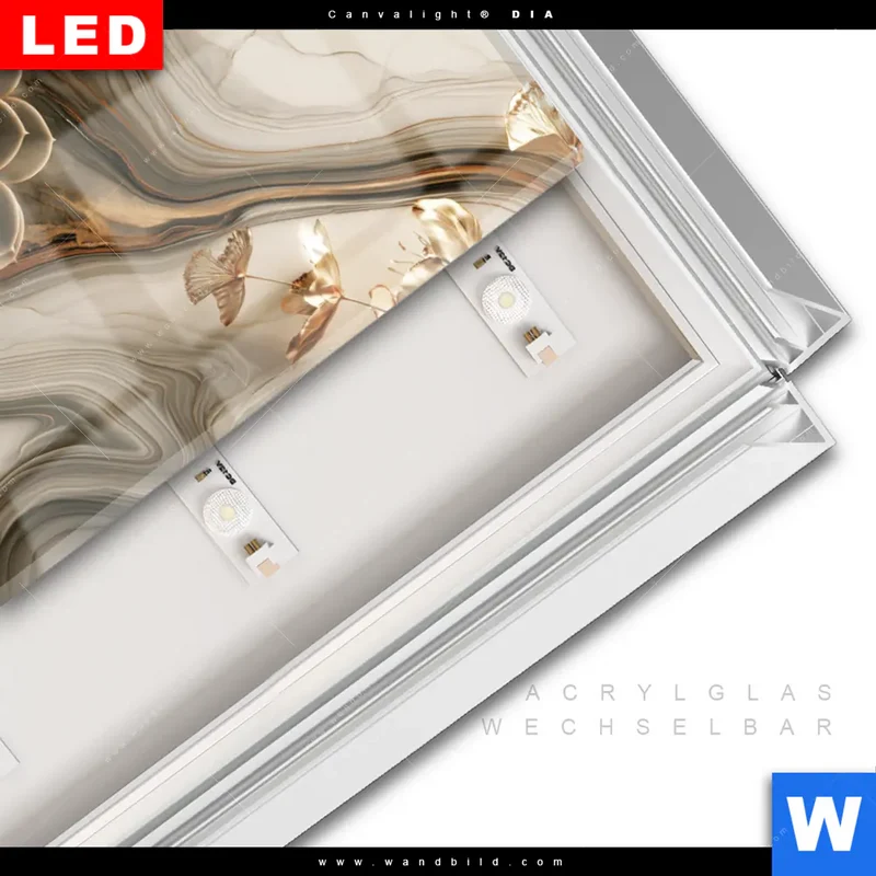 Leuchtbild Acrylglas Canvalight® DIA | Sukkulenten auf Marmor | Hochformat