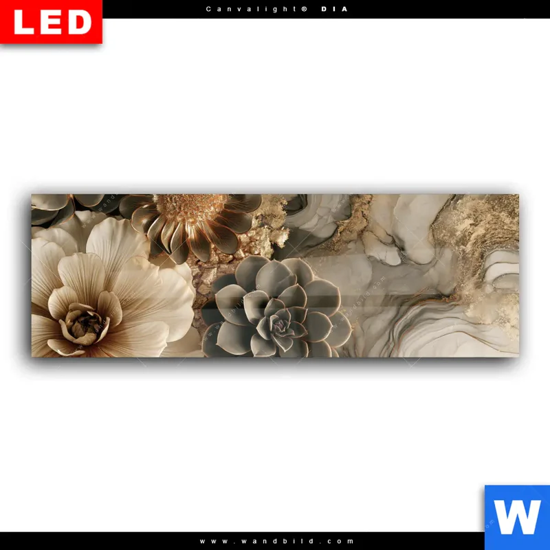 Wechselmotiv Acrylglas Canvalight® DIA | Sukkulenten auf Marmor | Panorama
