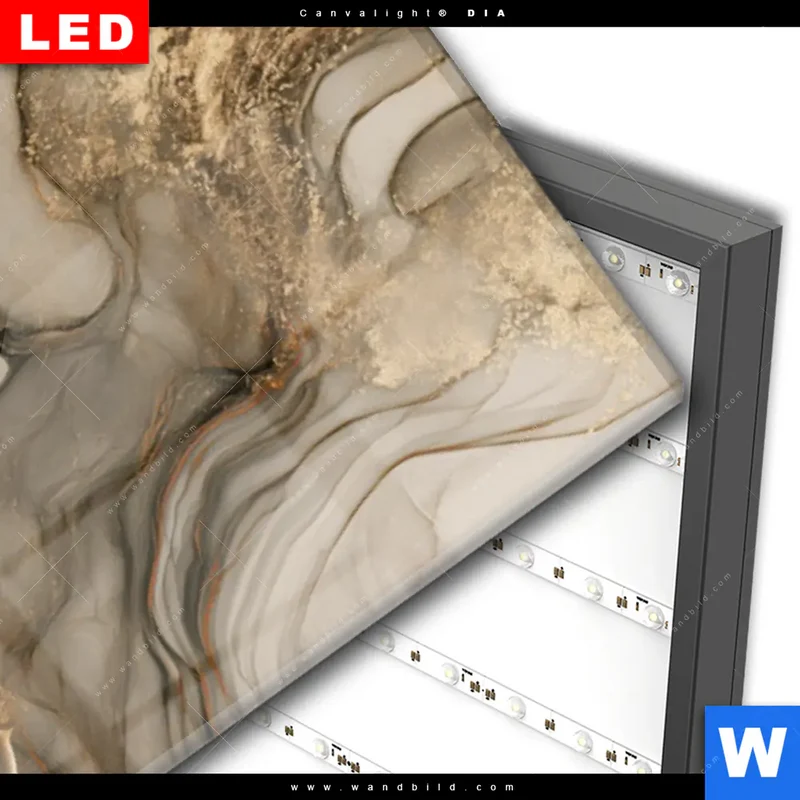 Wechselmotiv Acrylglas Canvalight® DIA | Sukkulenten auf Marmor | Panorama