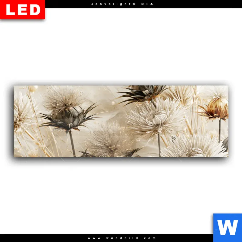 Wechselmotiv Acrylglas Canvalight® DIA | Wildblumen | Panorama