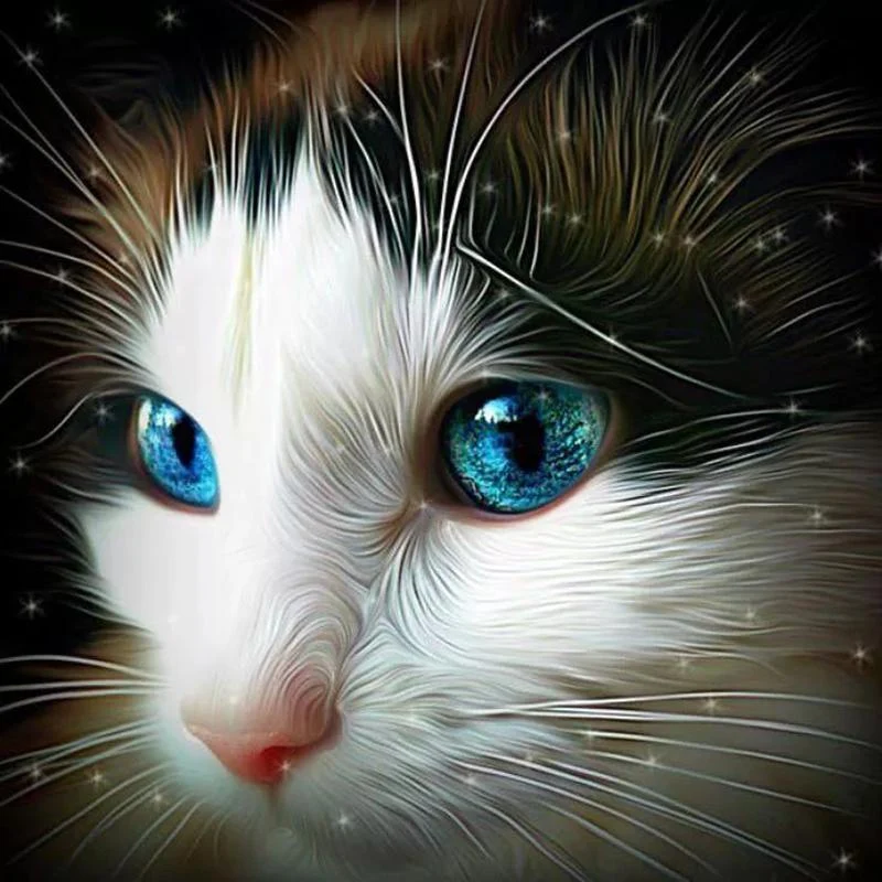 Cat Head Portrait PIX-125