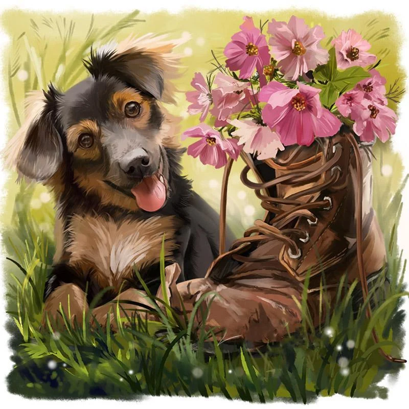 Dog shoes PIX-185