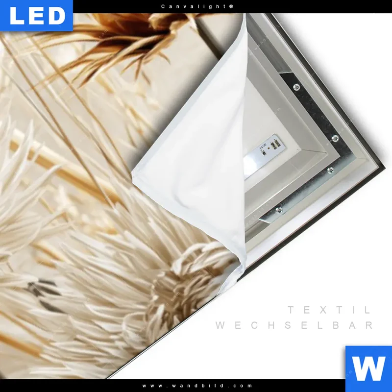 Canvalight® Leuchtbild | Wildblumen | Panorama