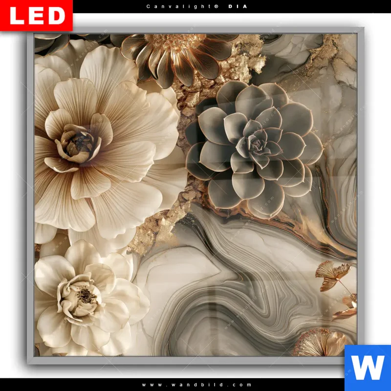 Leuchtbild Acrylglas Canvalight® DIA | Sukkulenten auf Marmor | Quadrat
