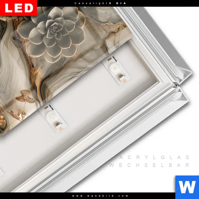 Leuchtbild Acrylglas Canvalight® DIA | Sukkulenten auf Marmor | Quadrat
