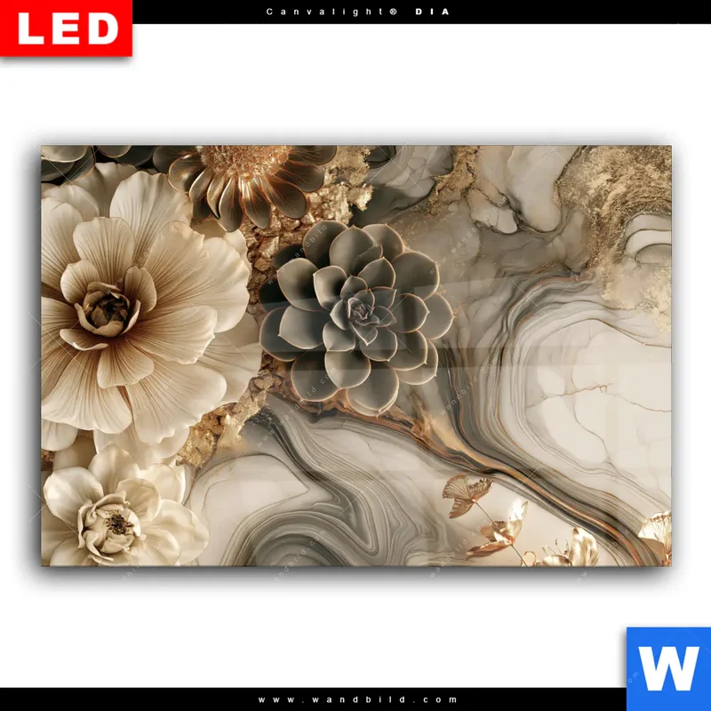 Wechselmotiv Acrylglas Canvalight® DIA | Sukkulenten auf Marmor | Querformat