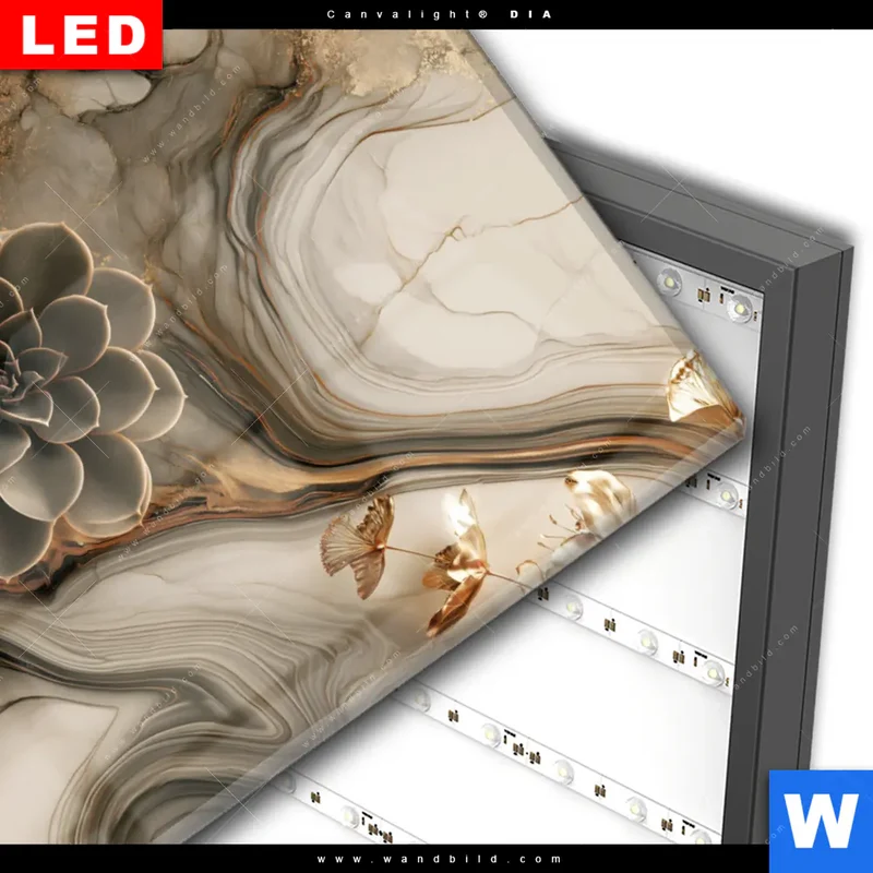 Wechselmotiv Acrylglas Canvalight® DIA | Sukkulenten auf Marmor | Querformat