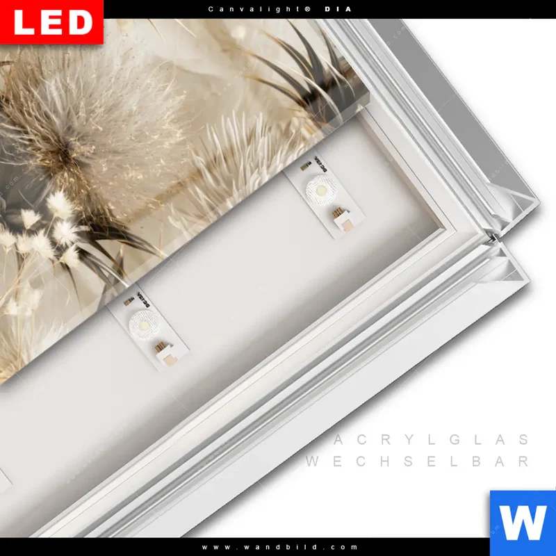 Leuchtbild Acrylglas Canvalight® DIA | Wildblumen | Hochformat