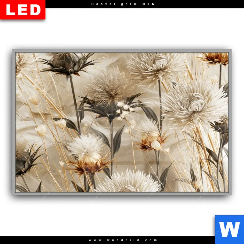 Leuchtbild Acrylglas Canvalight® DIA | Wildblumen | Querformat