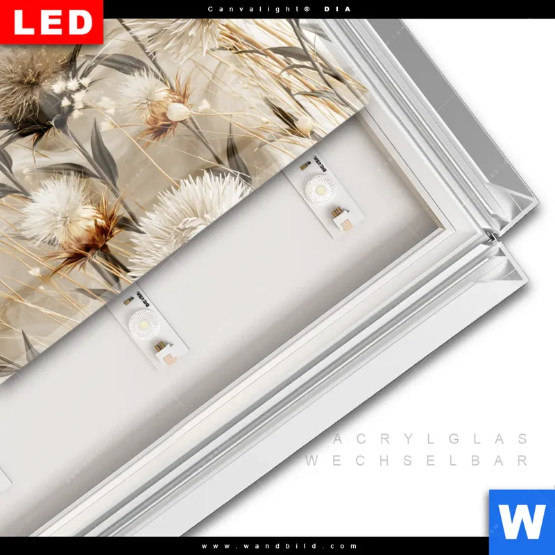 Leuchtbild Acrylglas Canvalight® DIA | Wildblumen | Querformat
