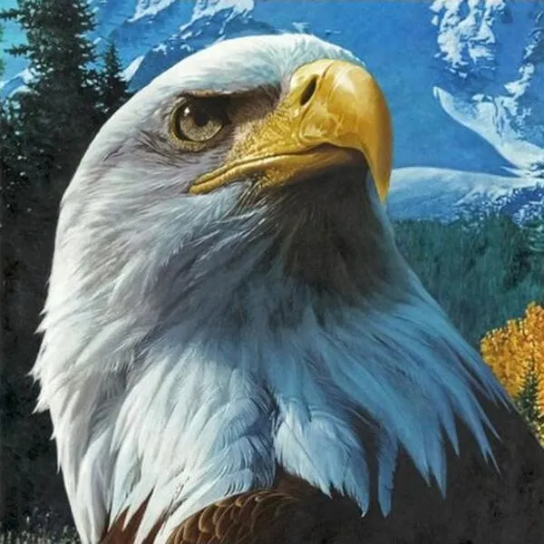 Eagle Seeing PIX-306