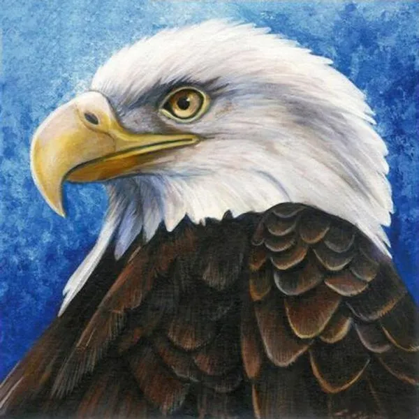 Eagle Calm PIX-308