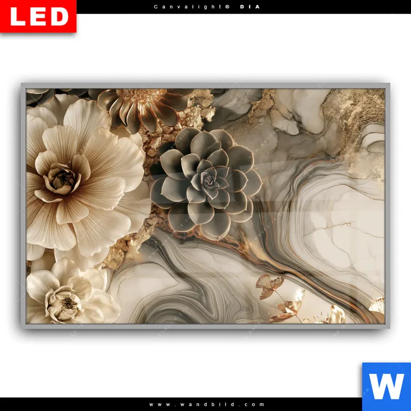 Leuchtbild Acrylglas Canvalight® DIA | Sukkulenten auf Marmor | Querformat