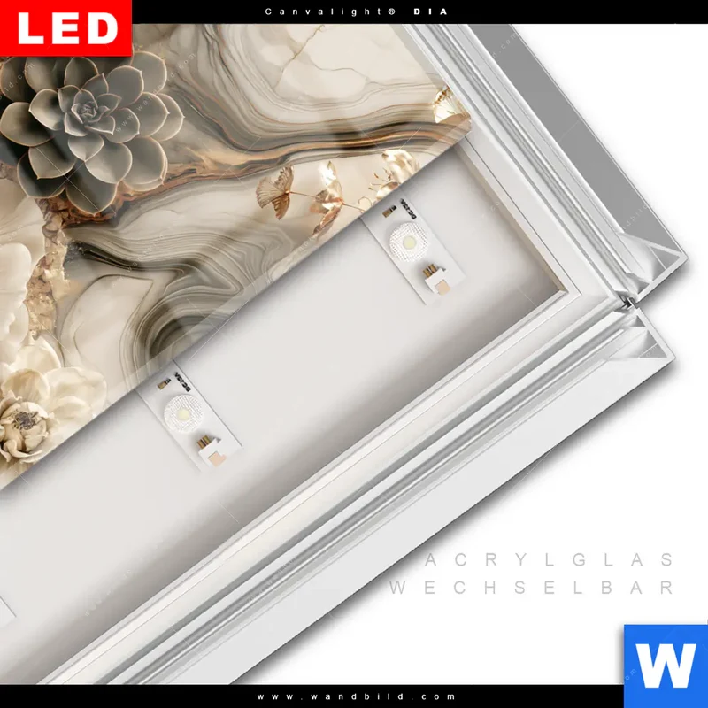 Leuchtbild Acrylglas Canvalight® DIA | Sukkulenten auf Marmor | Querformat