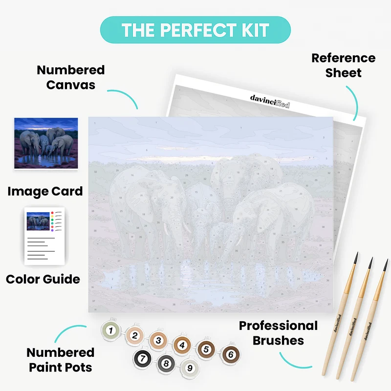 Addo Waterhole at Dusk - Paint by Numbers Kit