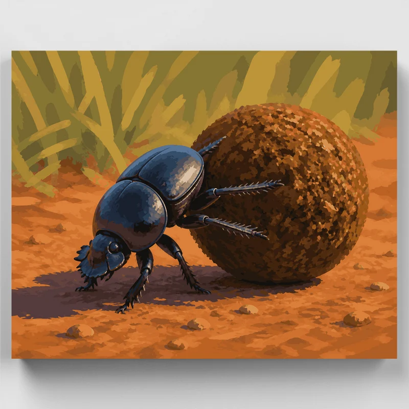 Addo Dung Beetle - Paint by Numbers Kit