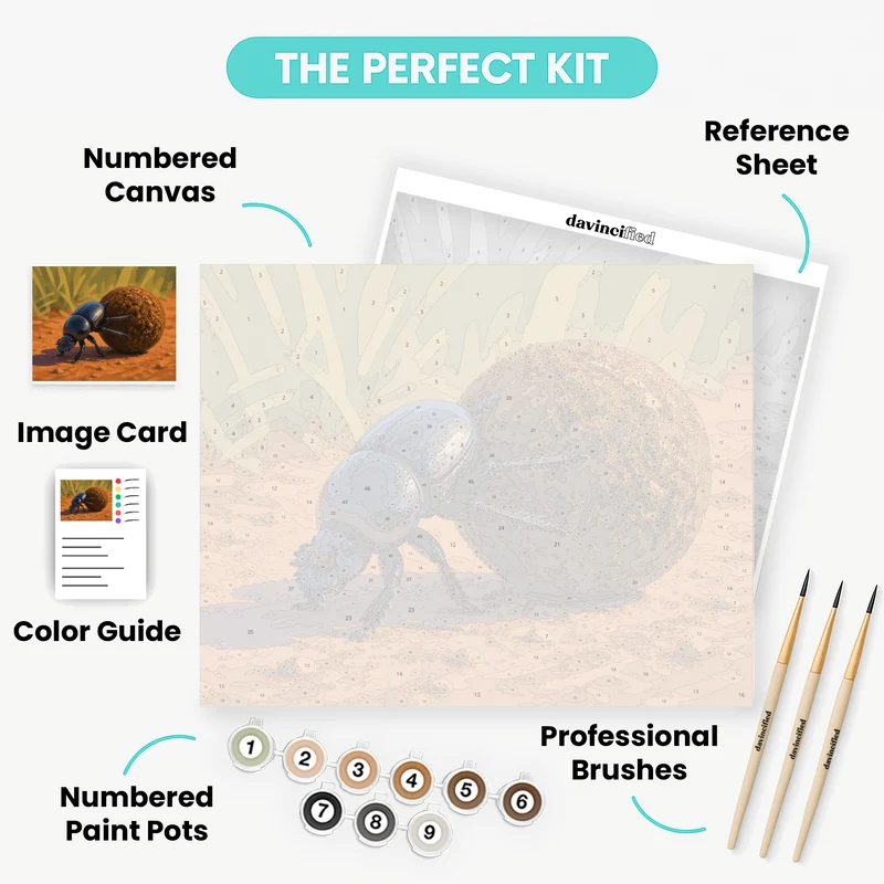 Addo Dung Beetle - Paint by Numbers Kit