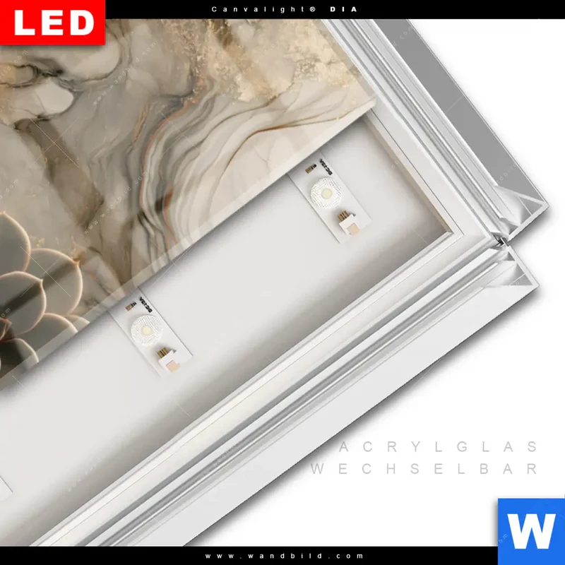 Leuchtbild Acrylglas Canvalight® DIA | Sukkulenten auf Marmor | Panorama