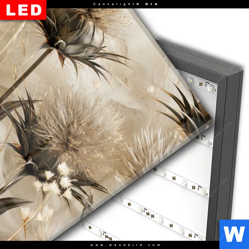 Wechselmotiv Acrylglas Canvalight® DIA | Wildblumen | Hochformat