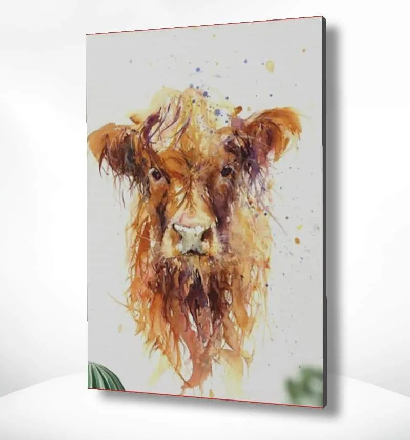 Diamond Painting Brauner Schottischer Hochlandrind