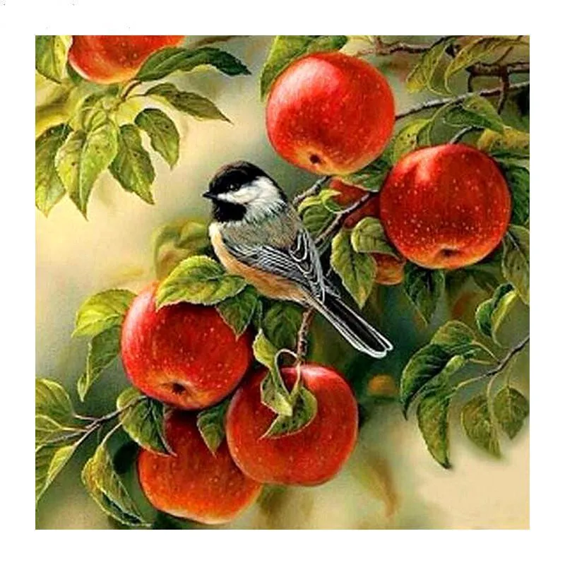 Bird In Apple PIX-397