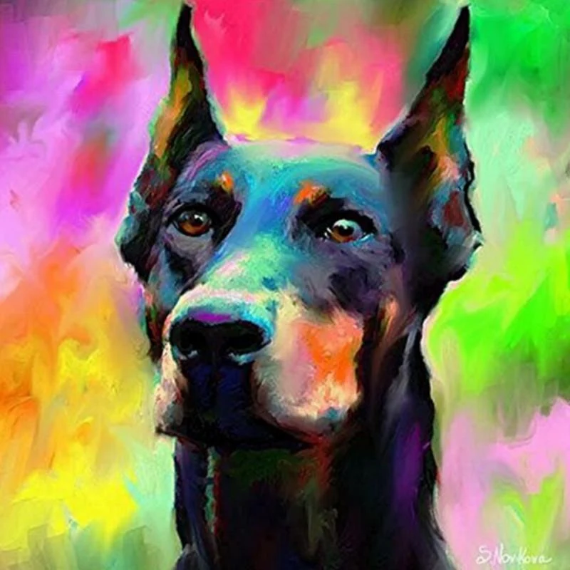 Raimbow Doberman PIX-629