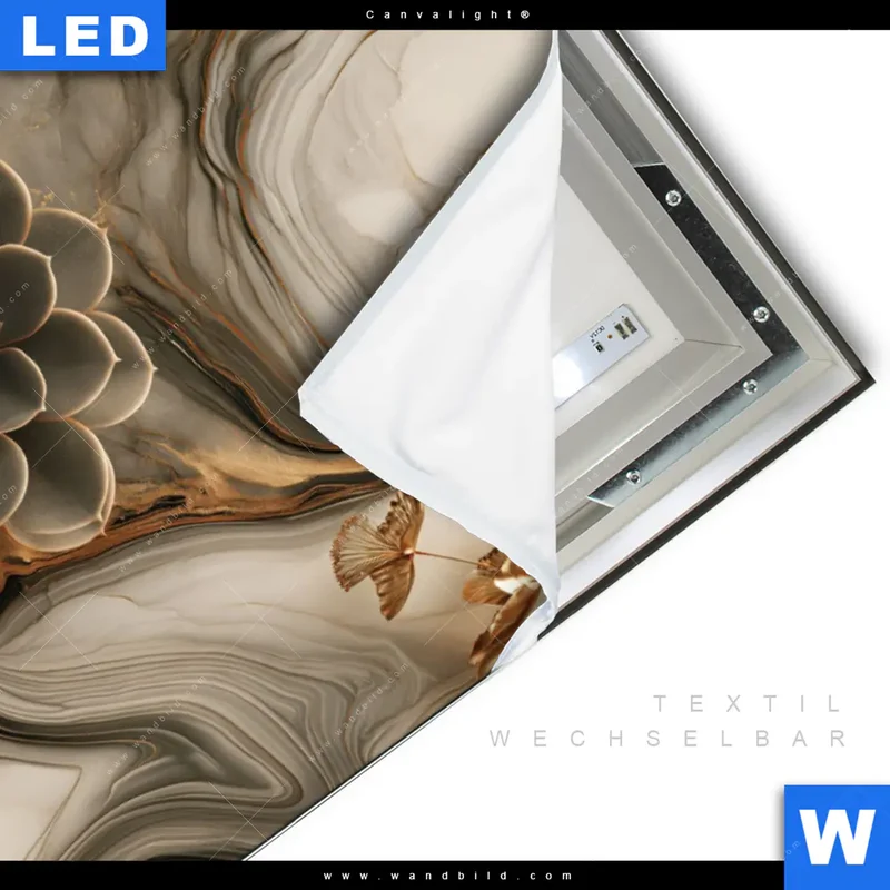 Canvalight® Leuchtbild | Sukkulenten auf Marmor | Querformat