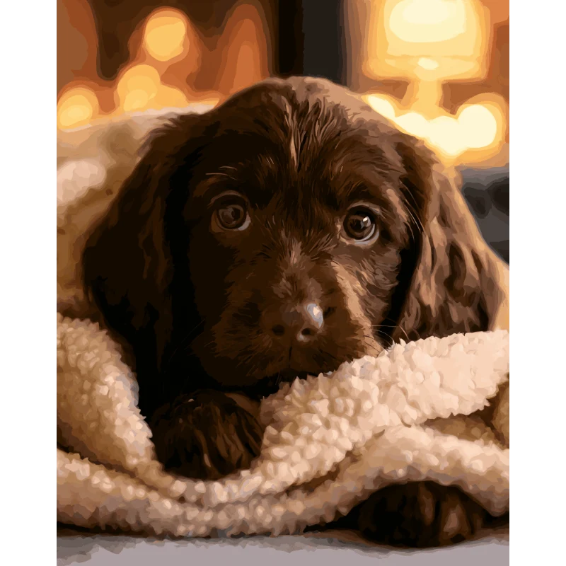 Schokoladen-Labradorwelpe