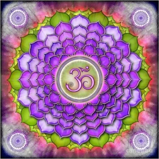 Mandala Purple And Green PIX-658