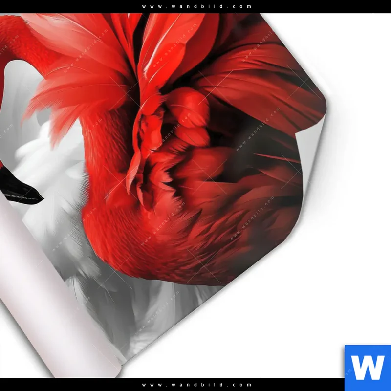 Poster | Roter Flamingo | Quadrat