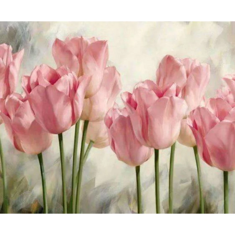 Tulpen Rosa