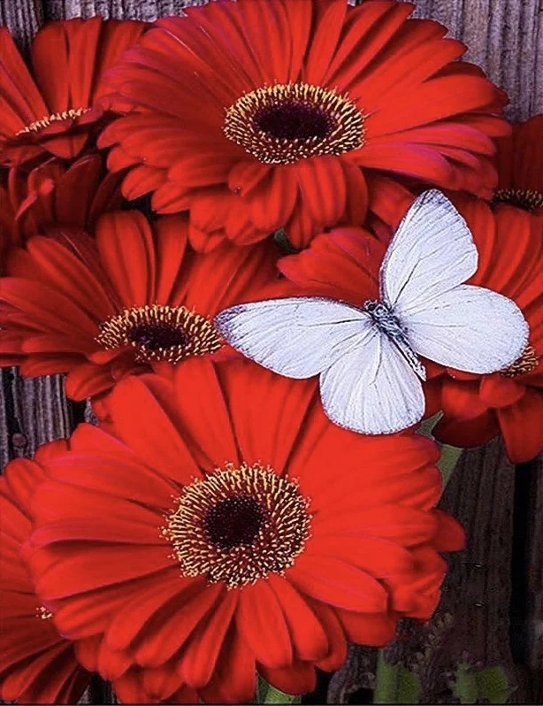 Flower PIX-725