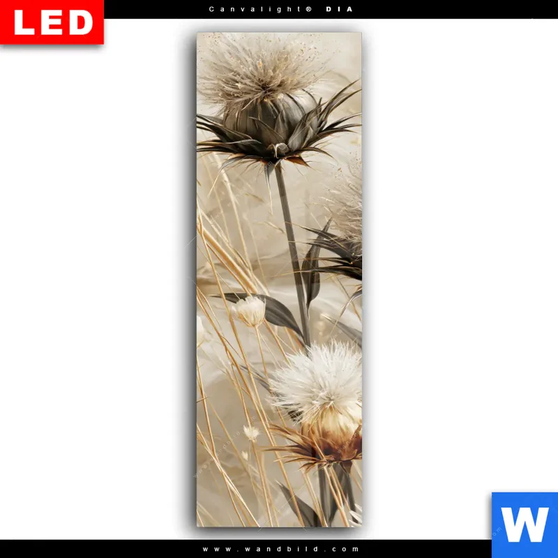 Wechselmotiv Acrylglas Canvalight® DIA | Wildblumen | Schmal