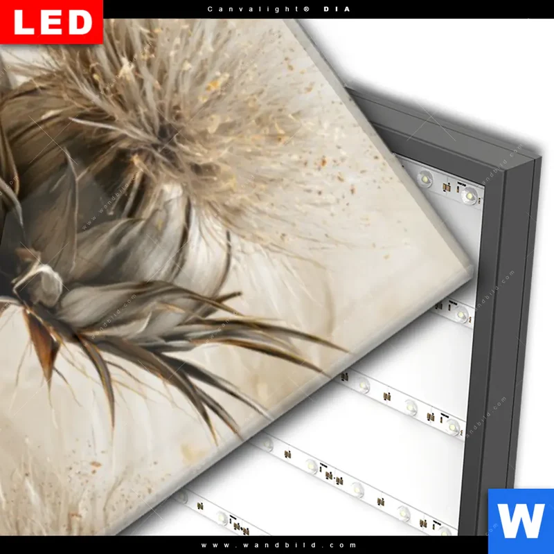 Wechselmotiv Acrylglas Canvalight® DIA | Wildblumen | Schmal