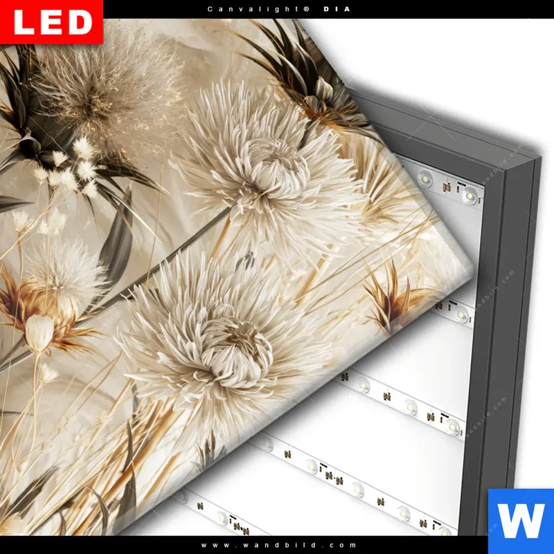 Wechselmotiv Acrylglas Canvalight® DIA | Wildblumen | Quadrat