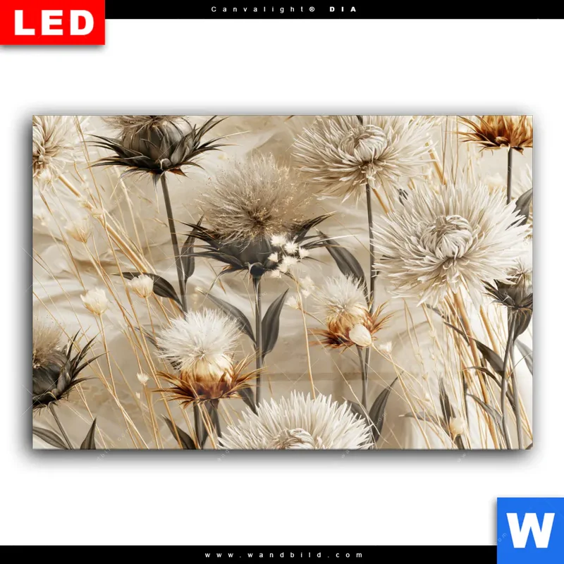 Wechselmotiv Acrylglas Canvalight® DIA | Wildblumen | Querformat