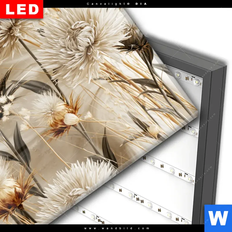 Wechselmotiv Acrylglas Canvalight® DIA | Wildblumen | Querformat