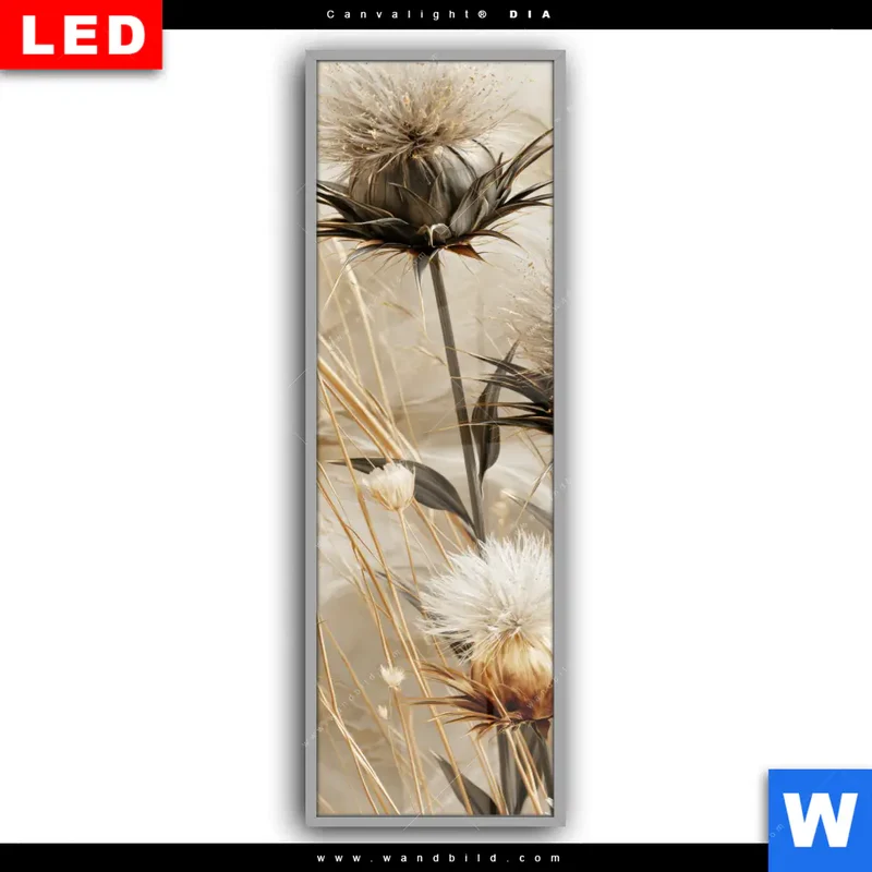 Leuchtbild Acrylglas Canvalight® DIA | Wildblumen | Schmal
