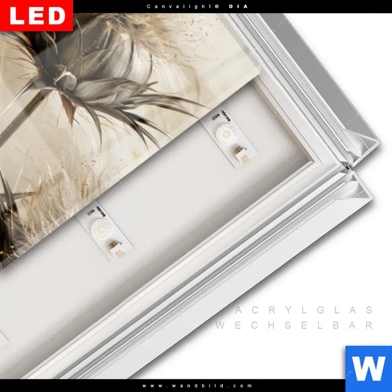 Leuchtbild Acrylglas Canvalight® DIA | Wildblumen | Schmal