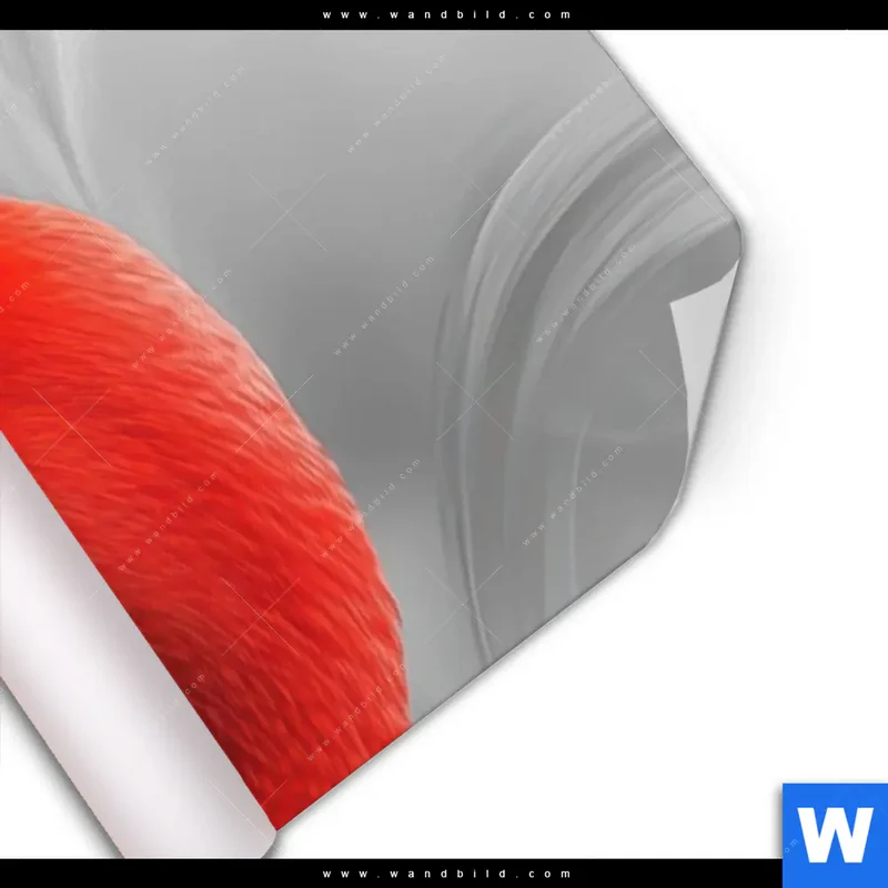 Poster | Roter Flamingo | Schmal